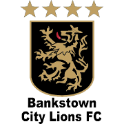 莱德米尔U20